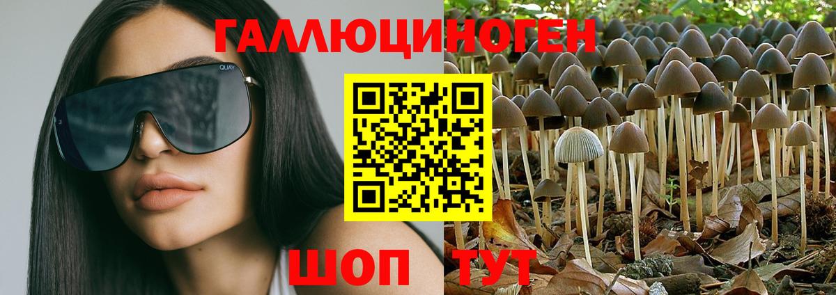 Гатчина  где продают   Вход с VPN  Галлюциногенные грибы GOLDEN TEACHER  Галлюциногенные грибы Psilocybe 