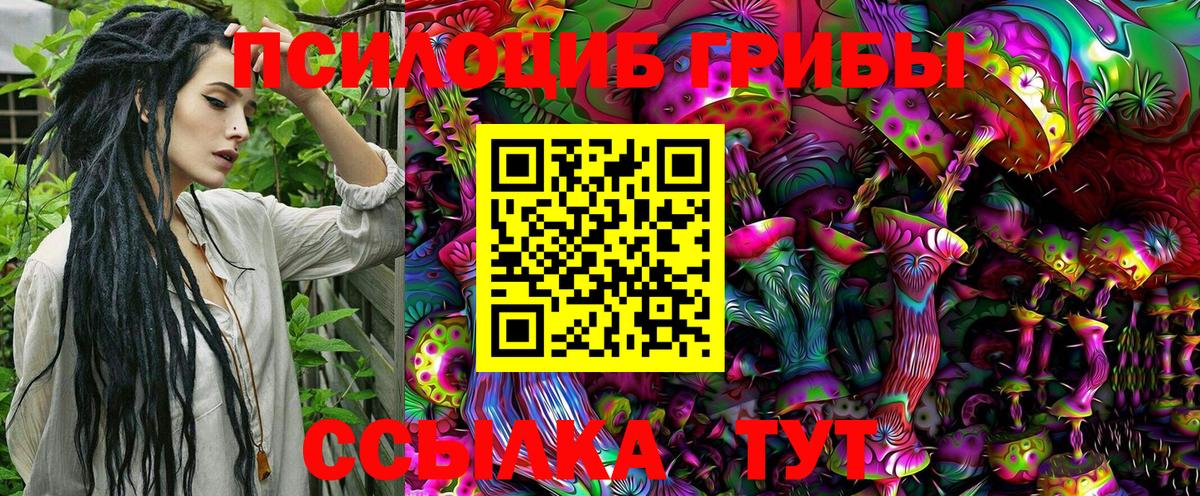 Галлюциногенные грибы Cubensis Гатчина